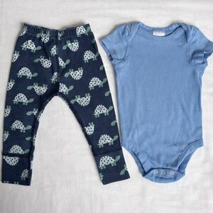Hanna Andersson Baby Outfit 3–6M | Turtle Print Pants + Blue Bodysuit | Organic